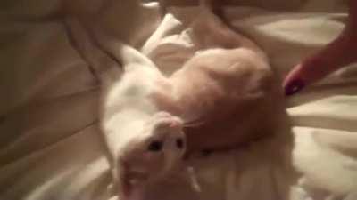 U CAN'T TOUCH THIS !