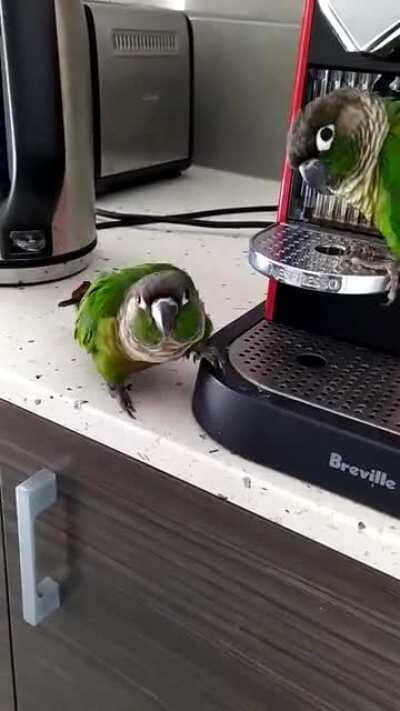 Like teenagers. They won't listen to me