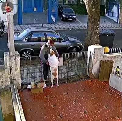 This is why you shouldn't let strangers pet your dog