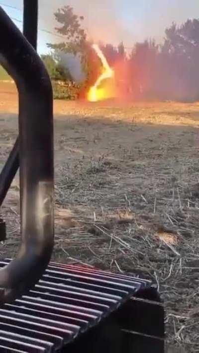When a tree falls on a powerline