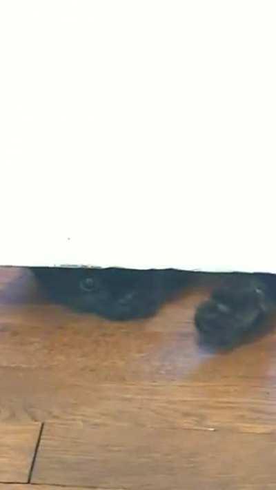 The Void&trade;️ screams back