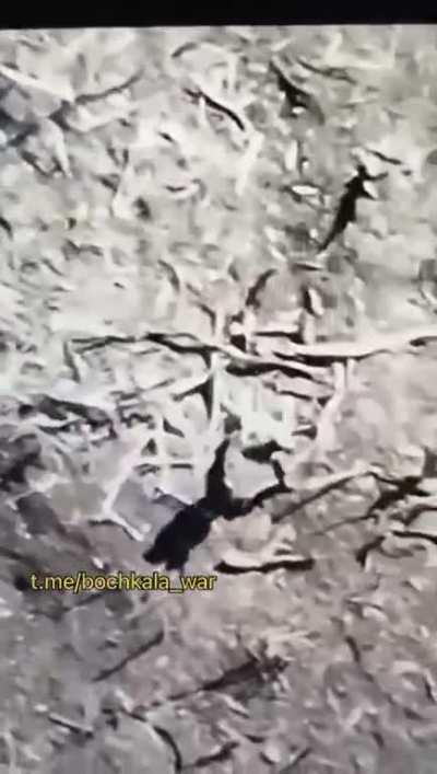 This morning in the direction of Bakhmut they chased orcs