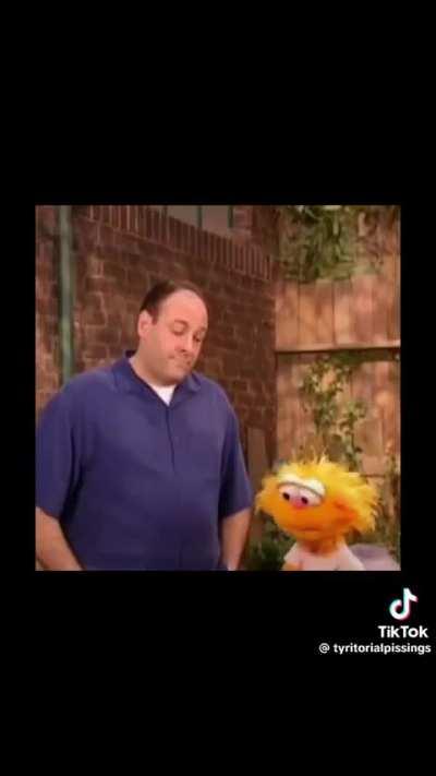 Average Tony Soprano dream