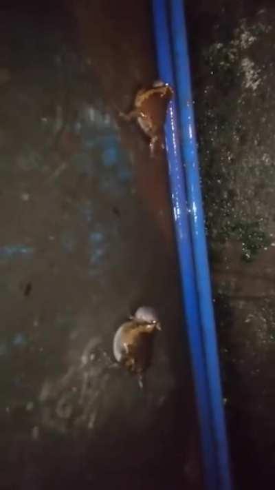 Thought this might fit here