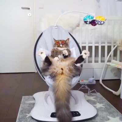 That moment when the cat is resting better than you🙈😁😁😁