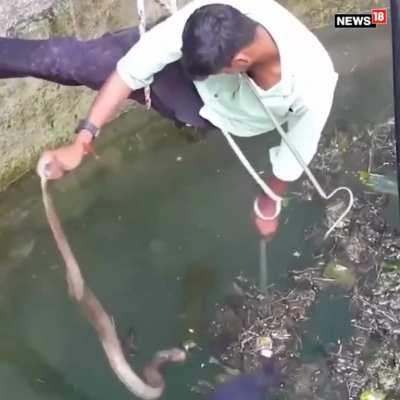 man saves snake from well