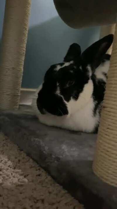 Loaf mode activated ✨