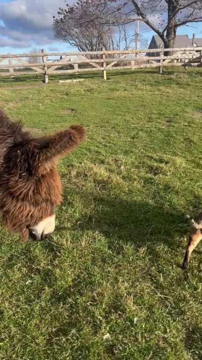 It’s hard making friends on the farm.