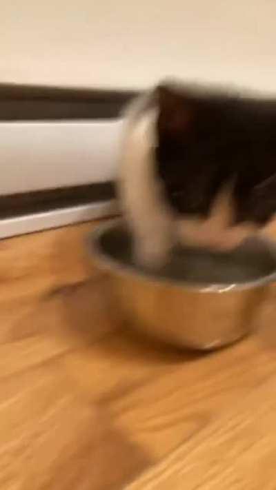 Tiny inmate has a drinking problem