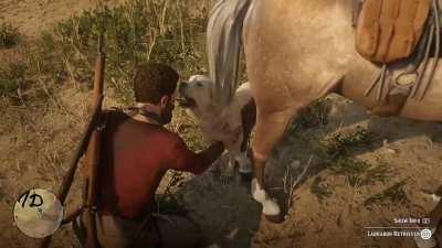 Safe to say my horse wasn't too happy that I met a good boy