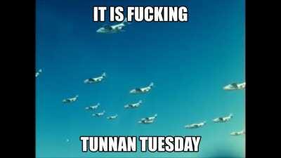 It is Tuesday, my dudes!