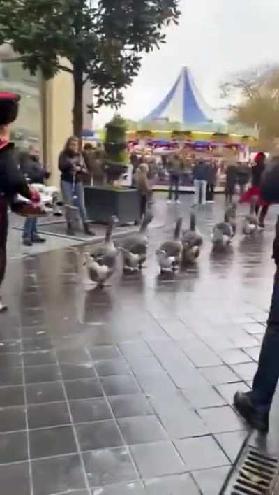 Goose-stepping through the middle of the city