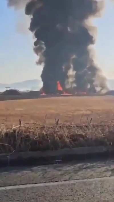 Boeing 737 attempting to land without landing gear in South Korea before EXPLODING with 181 people on board