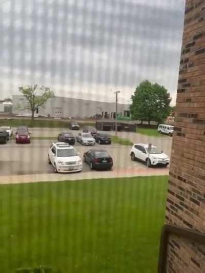 Aww look at the little birdie