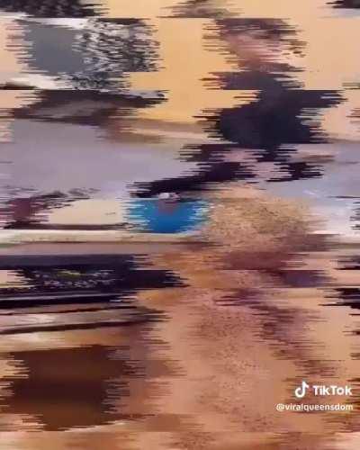 That meal looks tasty 🤤 