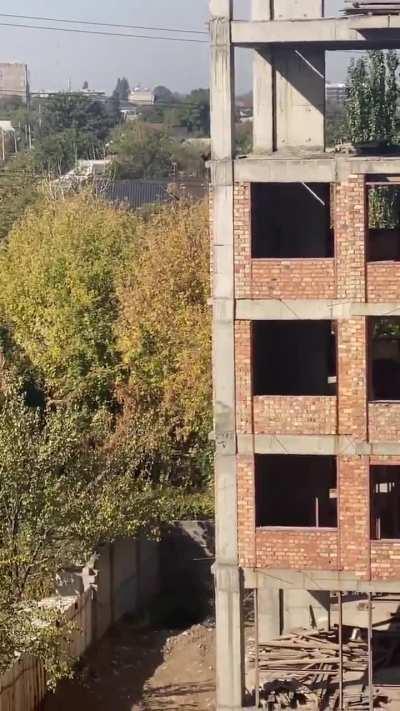 Dog continues walking normally after jumping from 5th floor