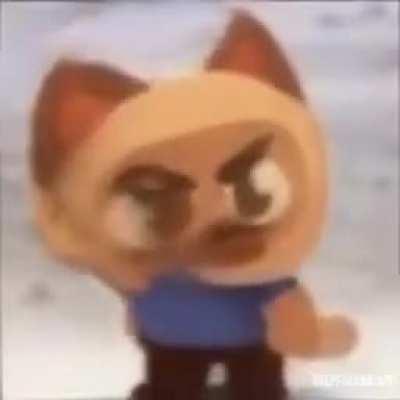 When you get 13 out of 14 wins