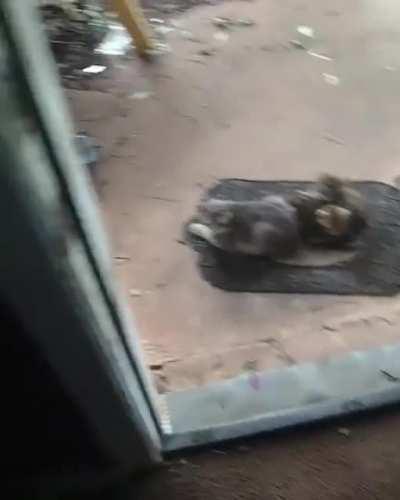 this mommy came to collect child money