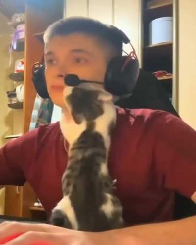 attack: 100%

damage: 0%