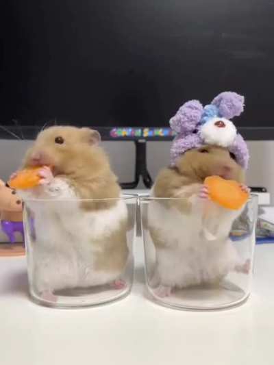 DISGUSTING display of greed, wunk should be ashamed