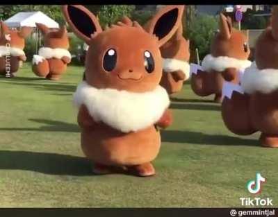 POV : Noble’s Eevees when he isn’t looking