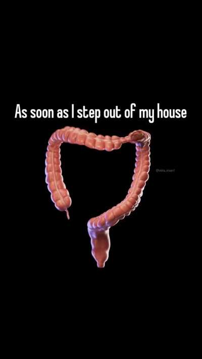 The real shit posting