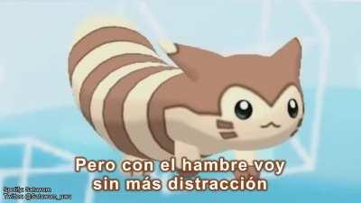 Furret se pone la camiseta