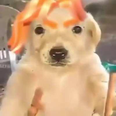 This video goes hard