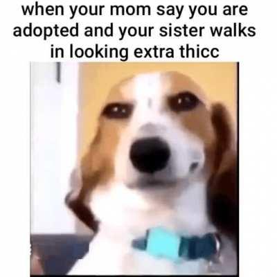 What are you doing step sis