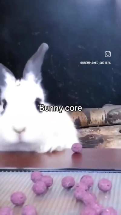 bunnycore