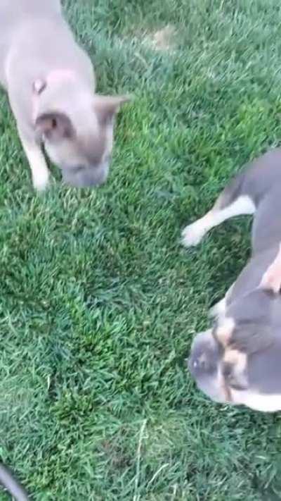 Wert r gonna do wif my bewrl?