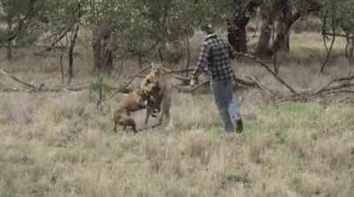 Don't mess with my best friend