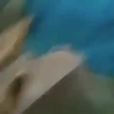 ce comeu mias coisa ali né