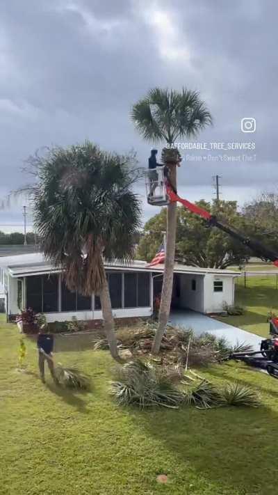 Carola - Video #7009