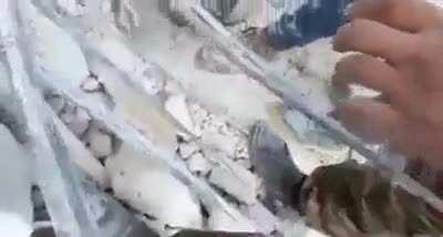 Father shields his son during the earthquake in Syria saving his sons life (dead body)