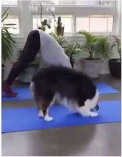 Já se exercitaram hoje?