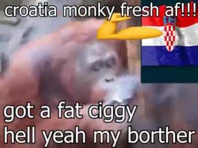 SLOVENIA MONKY VS CROATIA MONKEY!!!! (OC)