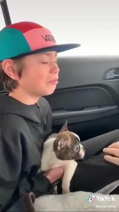 Kid recevies a puppy for his 13th birthday from his father that died from cancer.