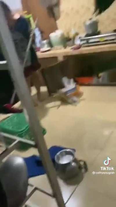 mission failed successfully