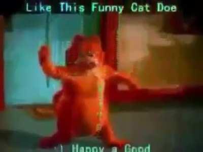 Funy cat