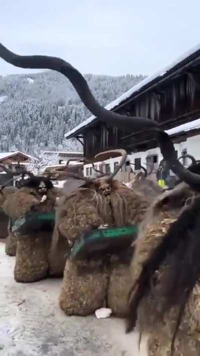 Krampus march in Austria