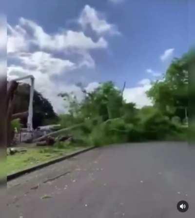 Groot For The Win!! 🌳😵