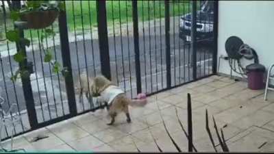 Lamentablemente la delincuencia nunca descansa