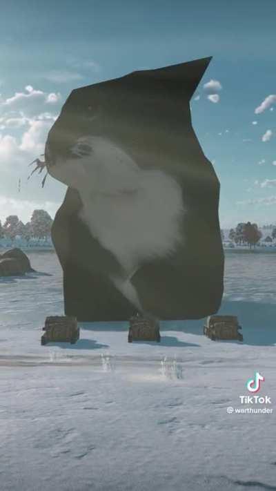 BRO 💀 this was posted by offical Russian WT tik tok account