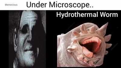 Microscopic Horrors
