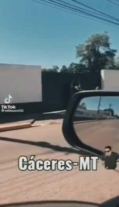 Walking Dead by PATRIOTAS