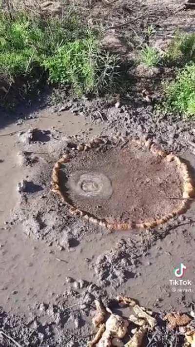 Tu mama cuando yo, yo cuando tu mama, yo cuando cuando, cuando tu mama, yo yo tu mama y yo cuando , tu mama cuando