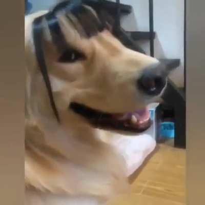 Is my new Hairstyle Adorable ?