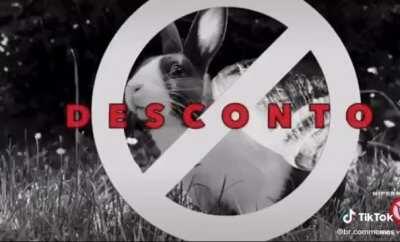 fabinhobessa5464@gmail.com