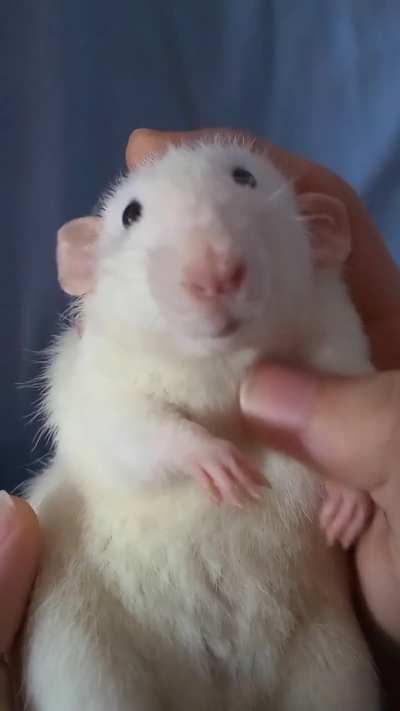 I love how chill boys can be!